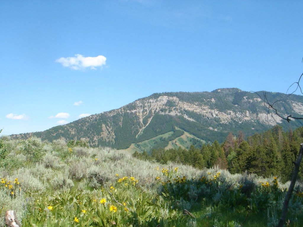 Electric Powered GMC Sierra of Top-Tier Model Denali Sets Sails in Innovation Waters