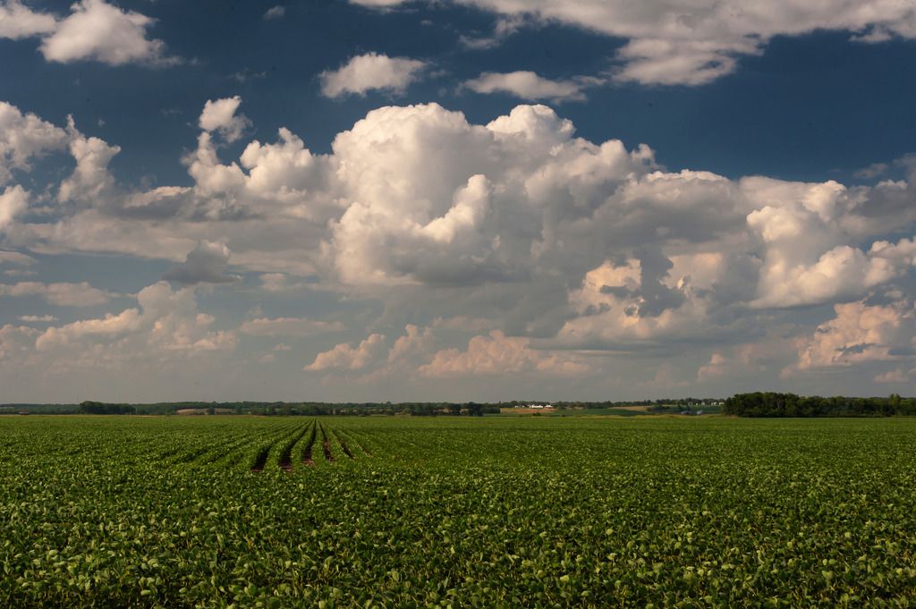 Understanding Script Length: Its Impact on Rhythm and Market Appeal - Discover Common Lengths and...