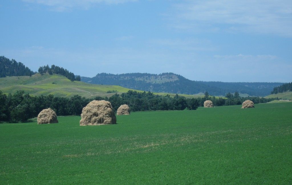 Explore the significance of the Aiken programming language in the creation of Cardano smart...