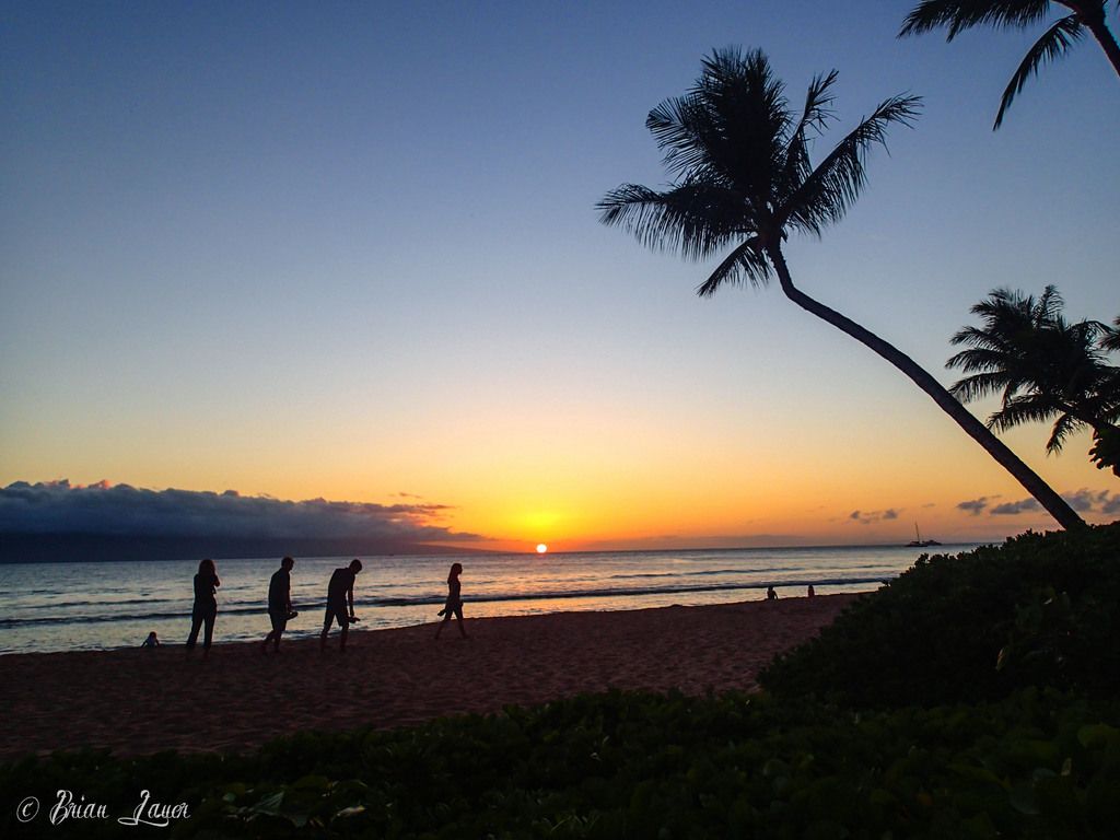 Master the art of tailoring content for specialized language markets. Expand your reach with...