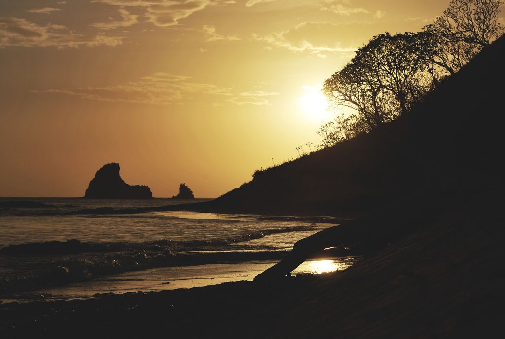 Craft your project with Adobe Express Animation: Design custom animated videos! Choose your...