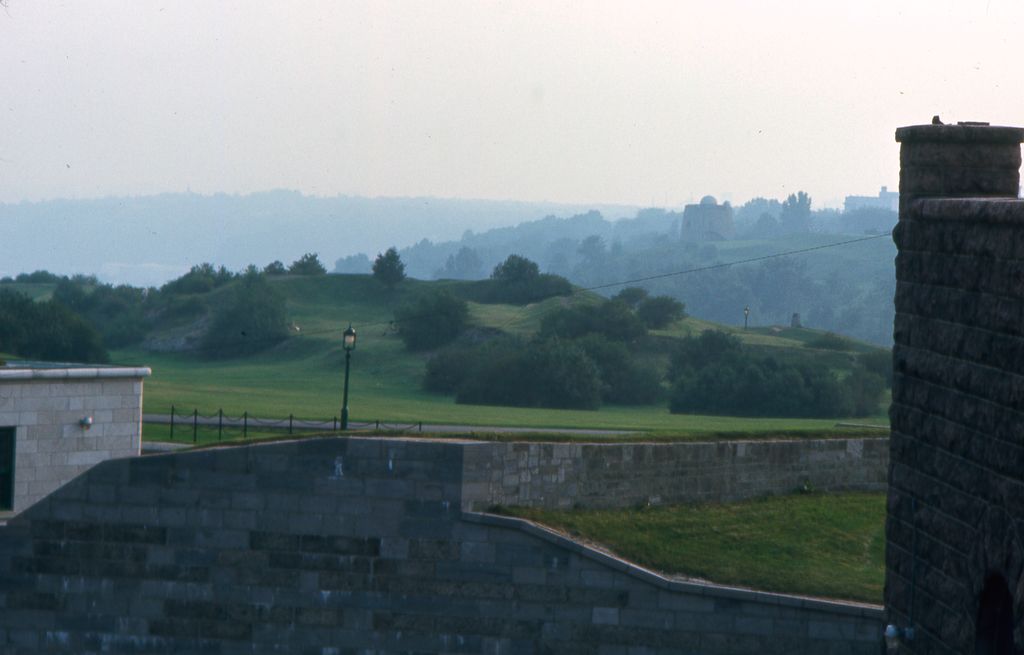 Beginner's Guide to Anime Highlights Essential Series, Streaming Advice, and Suitable Genres for an...